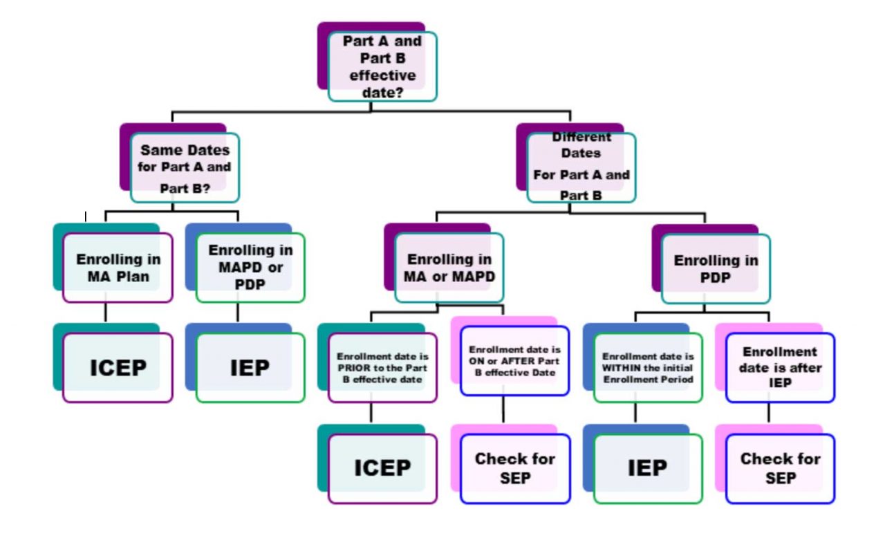 Choosing the Correct Election Code | Hovis and Associates